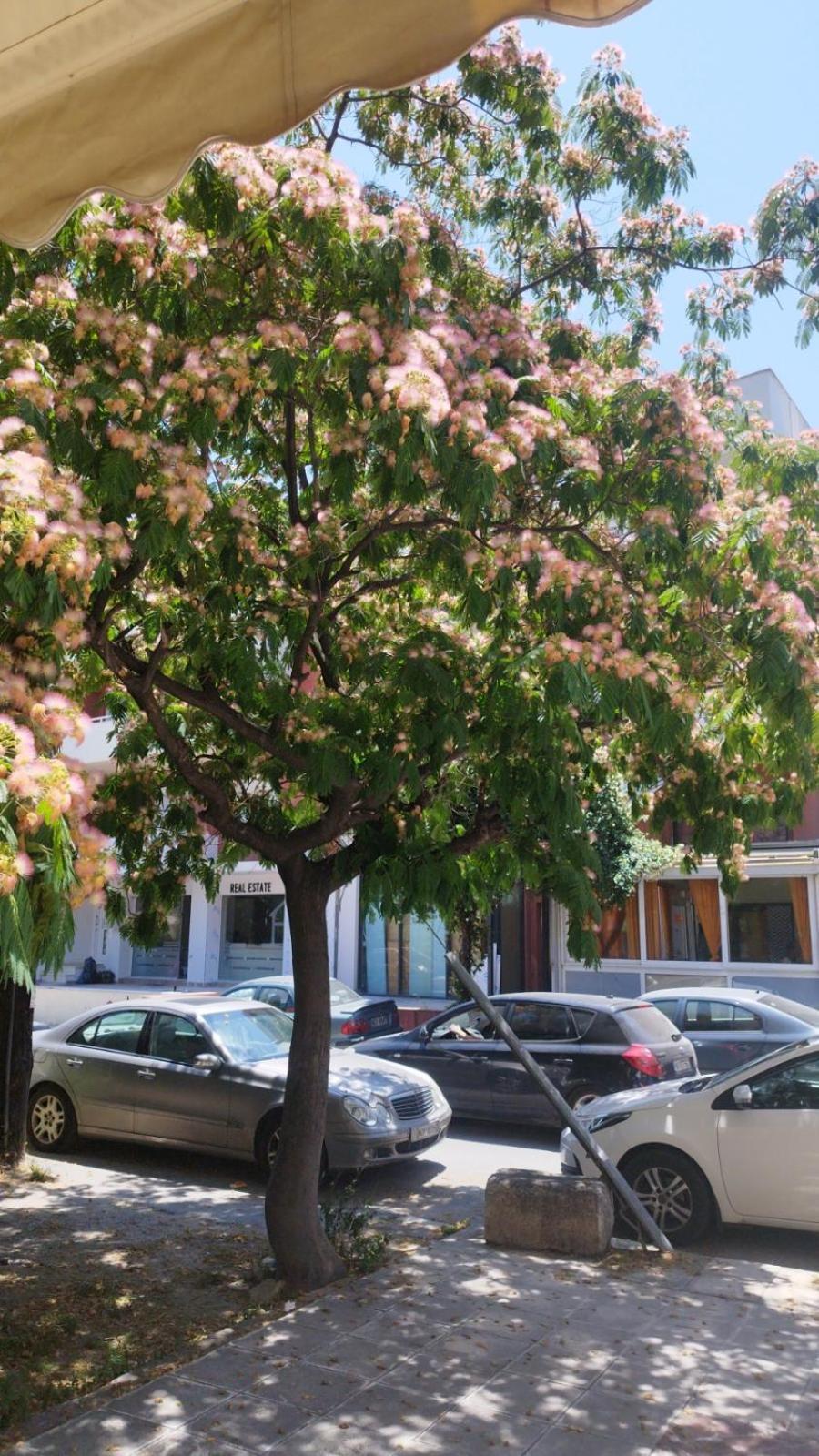 Renovated Apartment With Garden And Parking Space Peraía Buitenkant foto